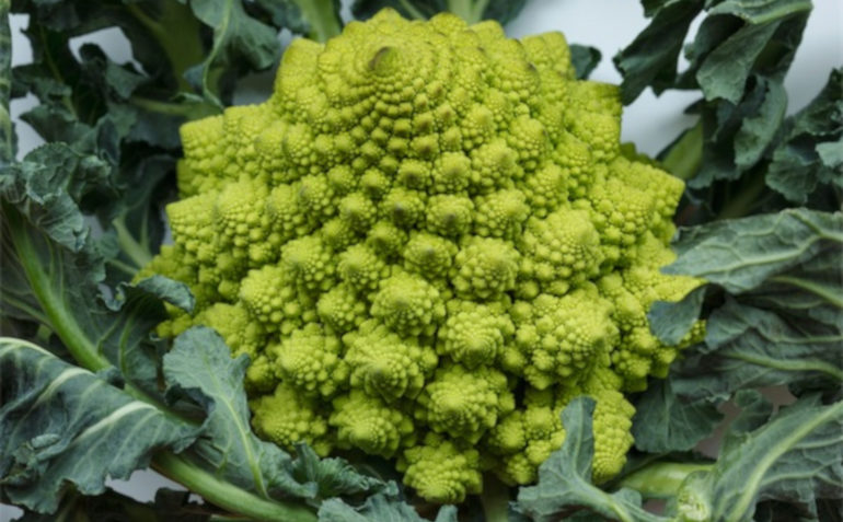 Pesto di broccoli e noci