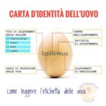 classificazione-delle-uova